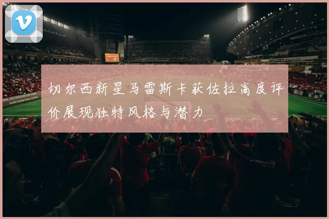 切尔西新星马雷斯卡获佐拉高度评价展现独特风格与潜力