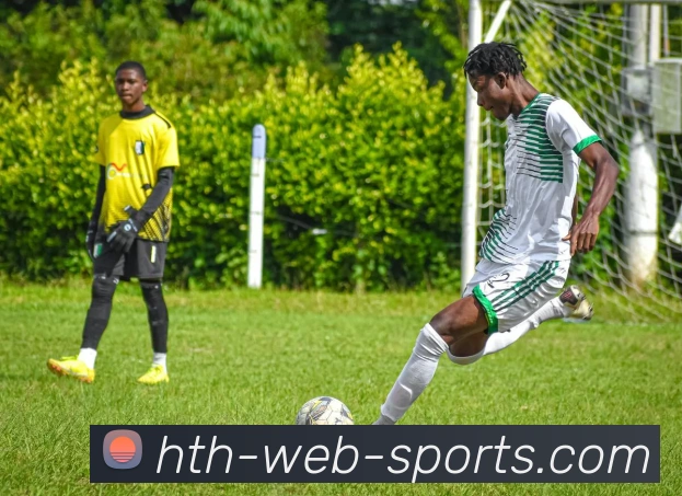 华体会体育平台生态图